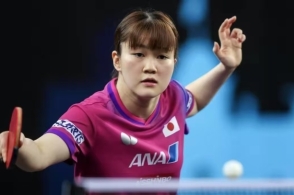 似乎已经预 似乎已经预