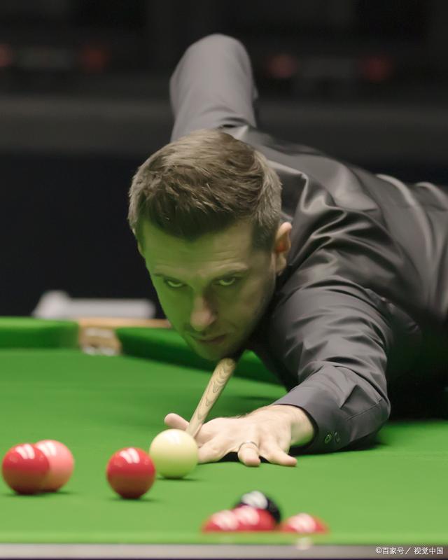 提供了展示 提供了展示